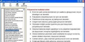 Bayanları Anlama Rehberi 1 logo