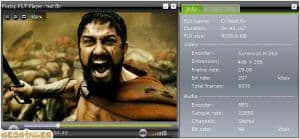 Fortop FLV Player 1.1 logo