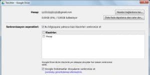 Google Drive 1.31.2873.2758 logo