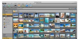 MAGIX Photo Manager MX Deluxe 11 logo