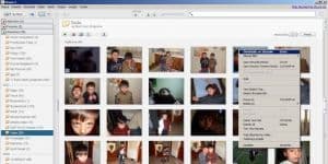 Picasa 3.9.0.141.303 logo