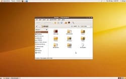 Ubuntu 13.10 logo