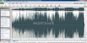 WavePad Sound Editor 6.63 logo