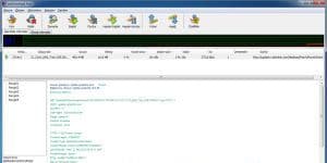wxDownload Fast 0.6.0 logo