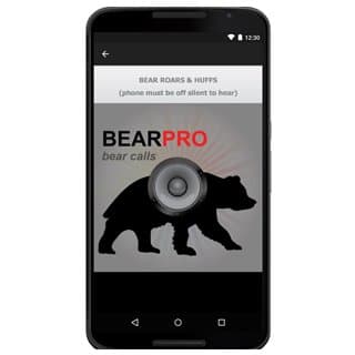 GERÇEK Ayı Aramalar - Ayı AVI MUAYENE logo