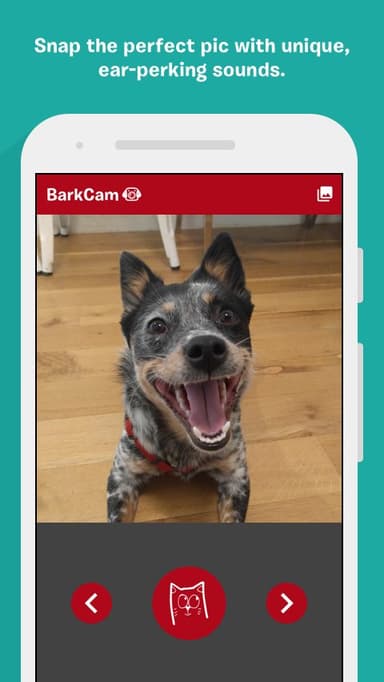 BarkCam APK logo