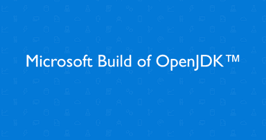 Microsoft Build of OpenJDK with Hotspot 16 logo