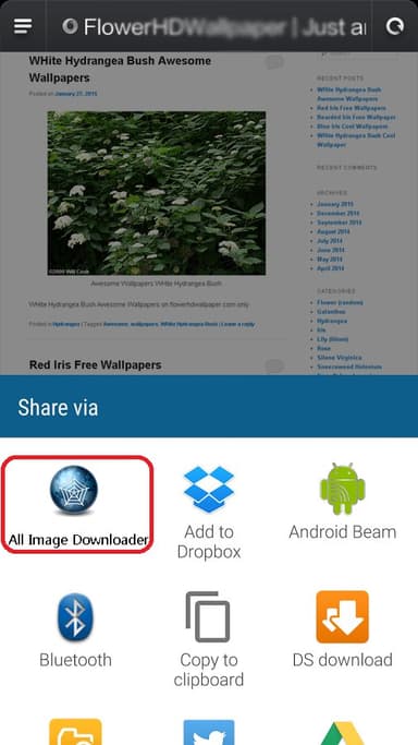 All Image Downloader - Search APK logo