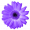 FaceFilter 3.02.1821.1 logo
