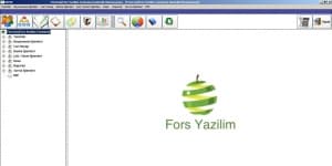 Fors Yazılım ForsCus Gümrük Muhasebe Programı logo