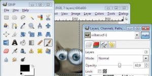 GIMP 2.8.18 Ücretsiz İngilizce 73.8 MB logo