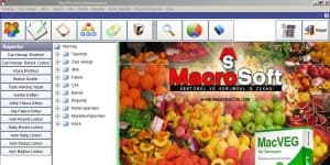 MacroSoft MacVeg Hal Programı logo