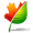 Sqirlz Water Reflections 2.6 logo