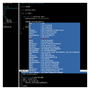 Terminal IDE logo