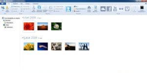 Windows Live Fotoğraf Galerisi 2012 logo