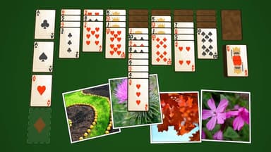Solitaire Bitki MUAYENE logo