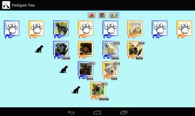 Pedigree tree APK logo