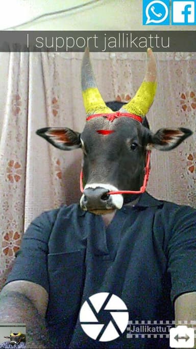 JallikattuTamila APK logo