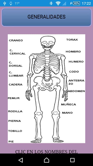 Manual Radiologia APK logo