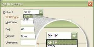 Absolute FTP 2.2.10 screenshot 1