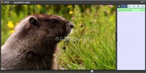 Ace Media Player 2.8.398 screenshot 1