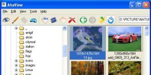 AhaView 4.54 screenshot 1