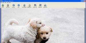 ALSee 5.3 screenshot 1