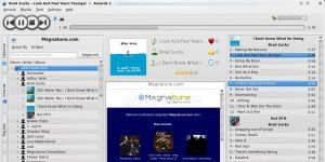 Amarok 2.8.0 screenshot 1
