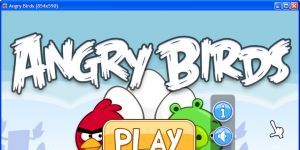 Angry Birds 3.3.3 screenshot 1