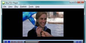 Any FLV Player 2.5.1 screenshot 1