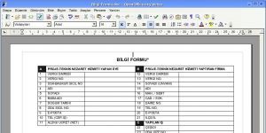 Apache OpenOffice 4.1.2 screenshot 1