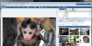 Ashampoo Photo Commander 14.0.5 Deneme Türkçe 290.9 MB screenshot 1