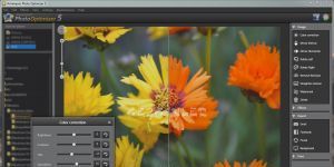 Ashampoo Photo Optimizer 6.0.19.136 screenshot 1