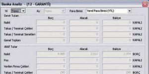 BAY-T Entegre 4.2.0 screenshot 1