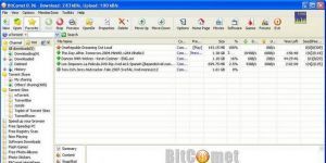 BitComet 1.43 screenshot 1