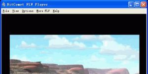 BitComet FLV Player 1.4 screenshot 1