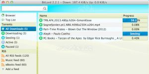 Bitlord 2.4.1 screenshot 1