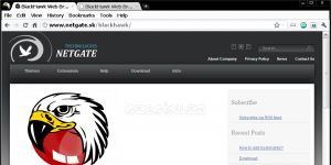 BlackHawk Web Browser 39.0.2132.2 screenshot 1