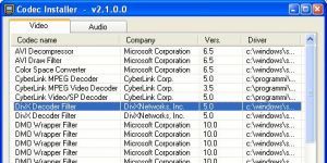 CodecInstaller 2.10.4 screenshot 1