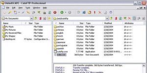 Cute FTP Professional 9.0.5 screenshot 1