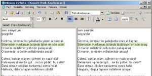 Dilmanc 2.5 ß screenshot 1