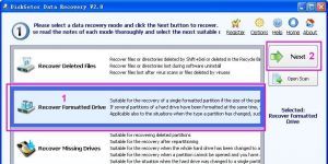 DiskGetor Data Recovery 3.55 screenshot 1