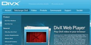 DivX Web Player 1.4.2 ß 2 screenshot 1