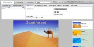 Easy Watermark Studio Lite 4.2 screenshot 1