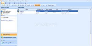 Efficient Password Manager 5.22 Build 526 screenshot 1