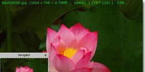 FastStone MaxView 3.0 Deneme İngilizce 2.9 MB screenshot 1