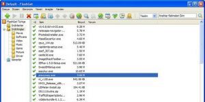 FlashGet 3.7.0.1220 screenshot 1