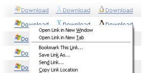FlashGot 1.5.6.13 screenshot 1