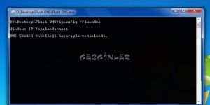 Flush DNS screenshot 1