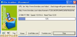 Flv Grabber 3.29 screenshot 1